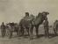 Верблюды, использующиеся для перевозки грузов